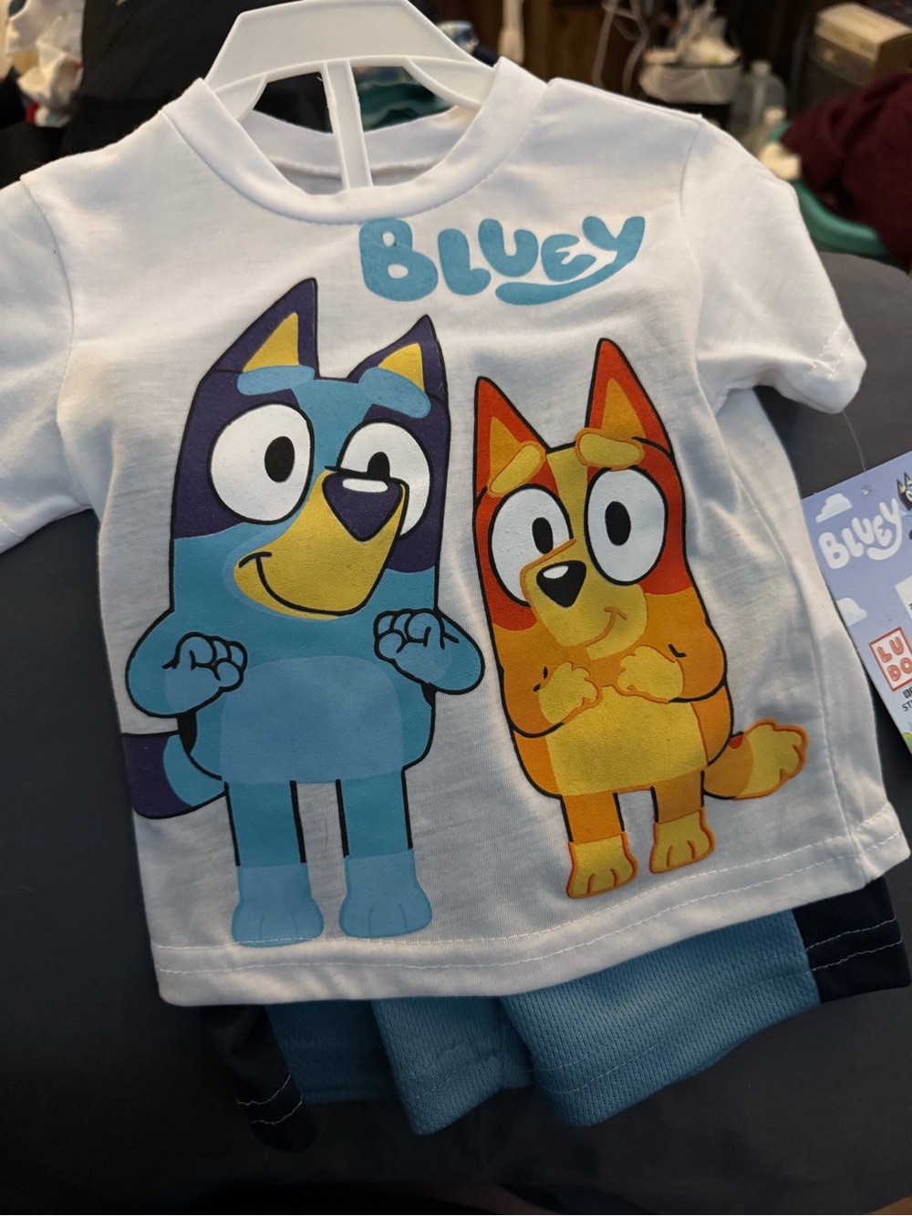 Bluey Graphic Tee with Blue and Orange Characters